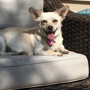 Meet your Posher, Jenn